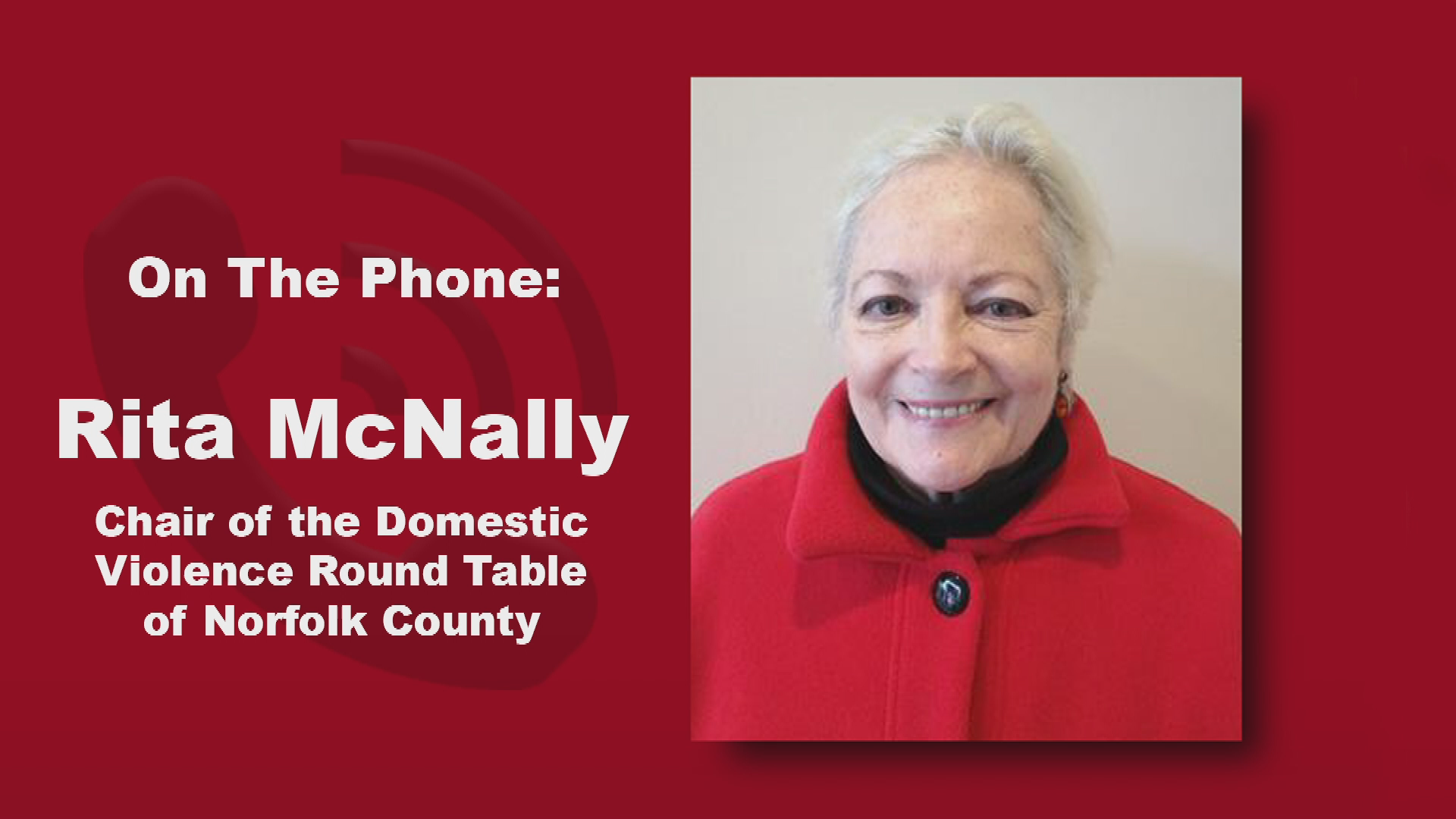 Thumbnail image for The Safety Net - Rita McNally