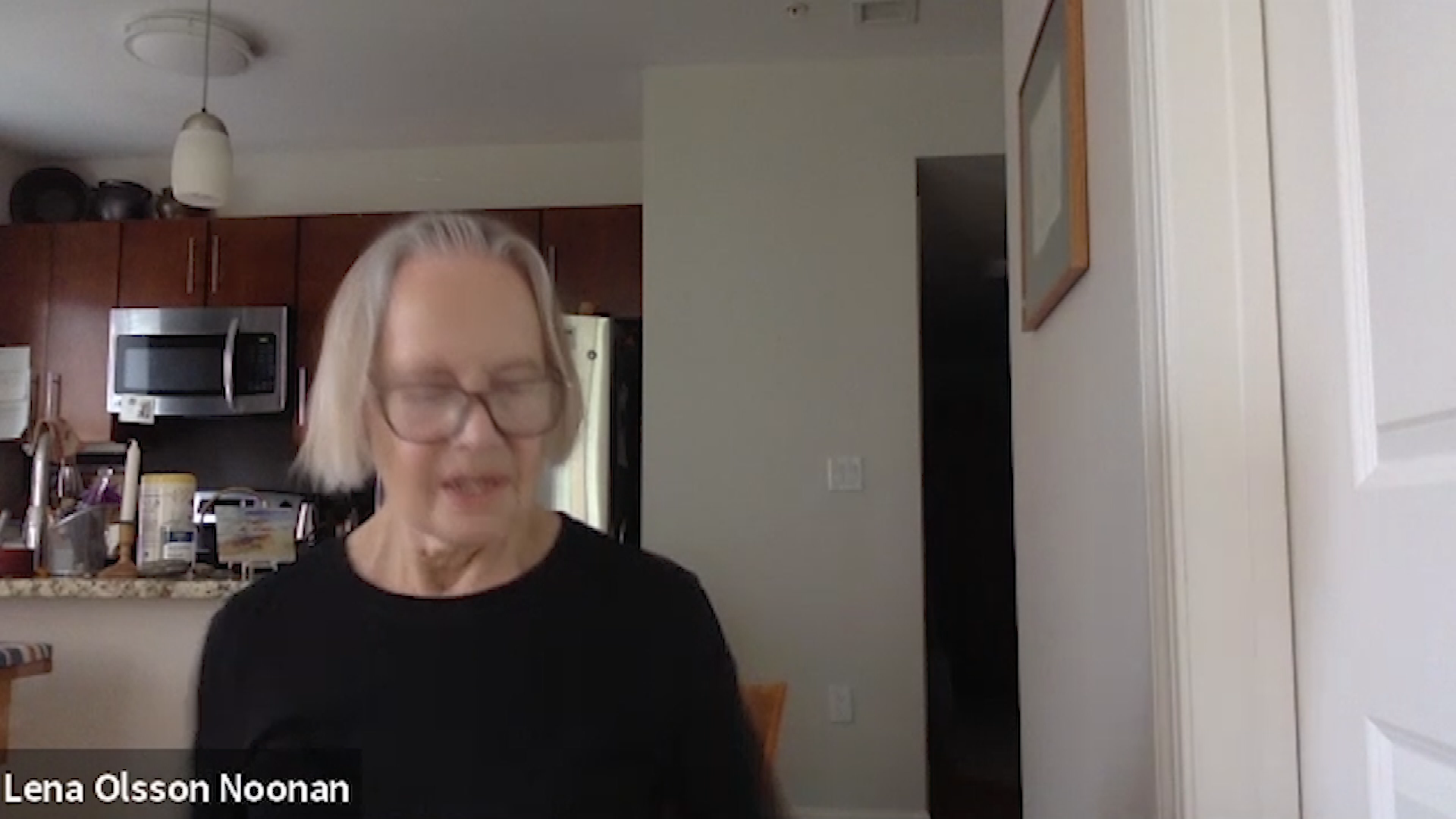 Thumbnail image for The Brookline Rotary - Lena Olsson Noonan