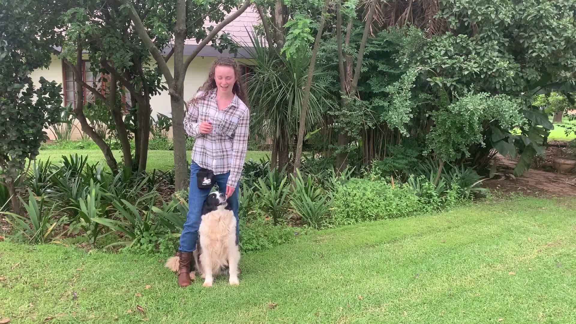 Thumbnail image for Adventures with Lassie Ep5