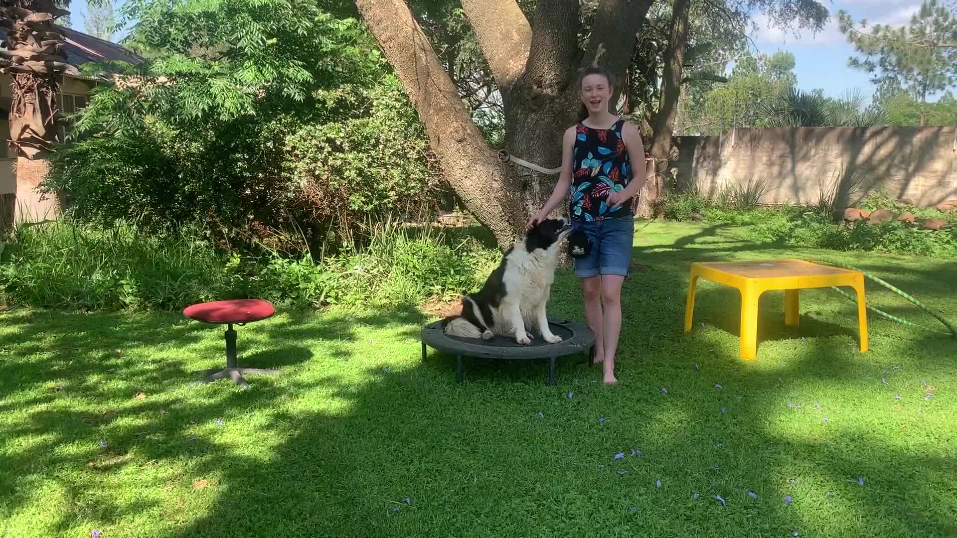 Thumbnail image for Adventures with Lassie Ep6