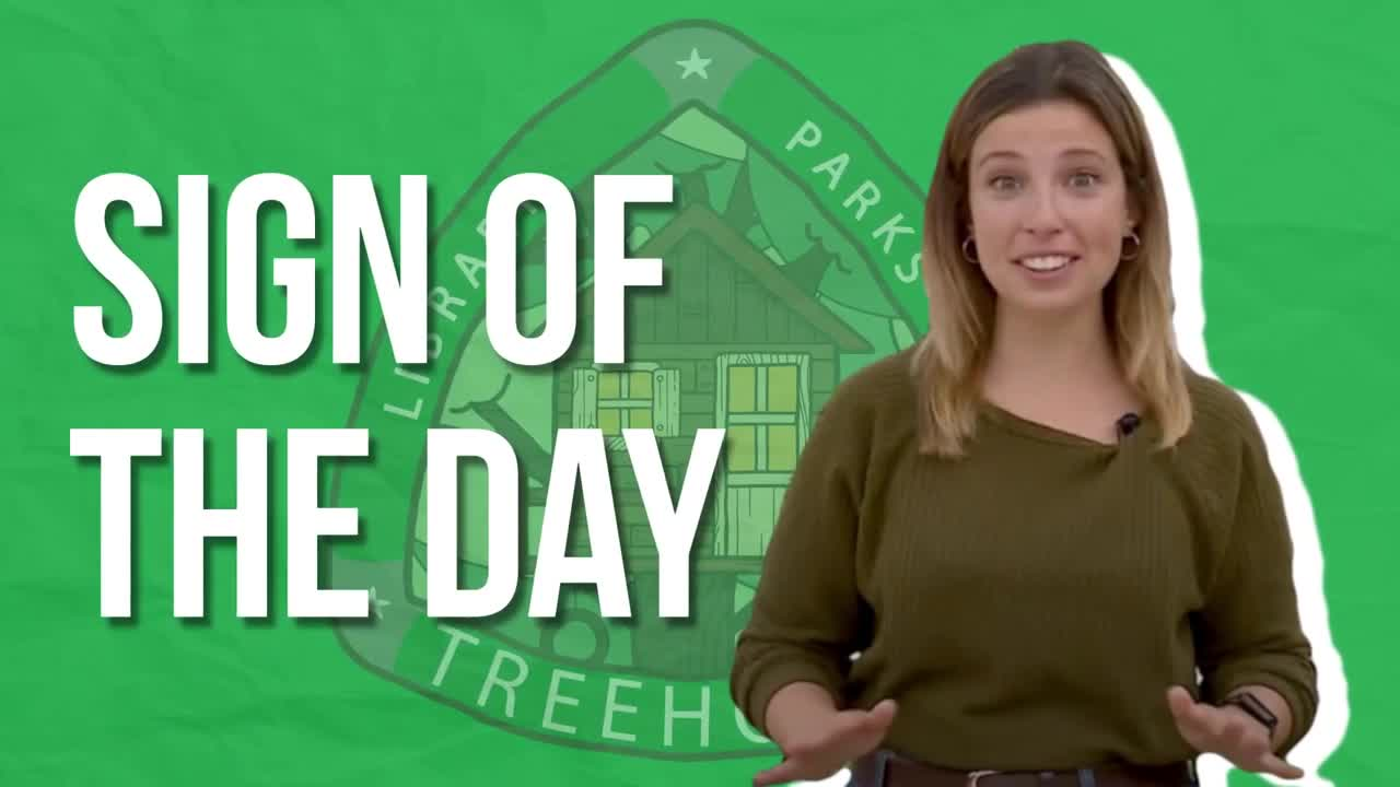 Thumbnail image for The Treehouse Episode 2