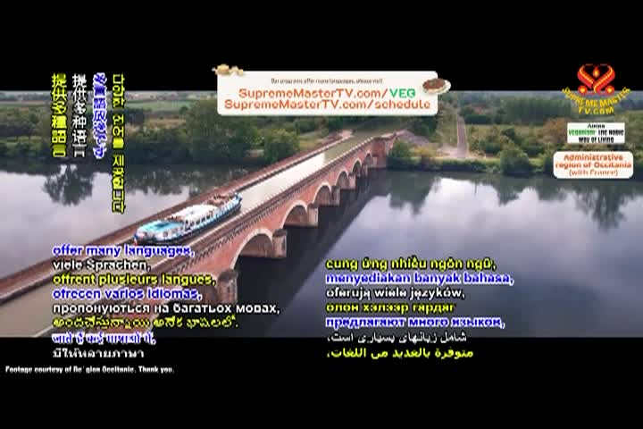 Thumbnail image for Dairy-Free Fermented Cheese | Part 2 of 4 | Spicy Vegan Smoked Cheese with Sauerkraut Juice