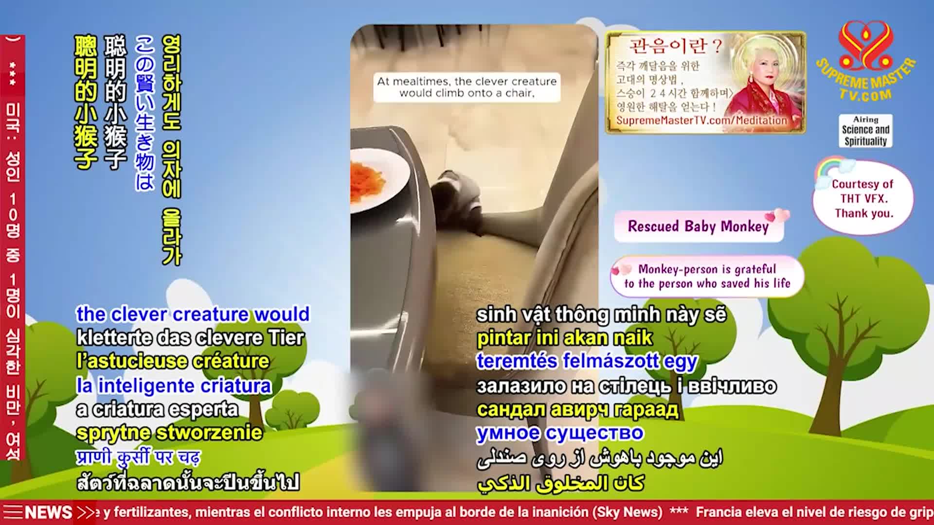 Thumbnail image for Supreme TV EP 1530 - Martian Insights from the “Indigo Child,” Part 1 of 2