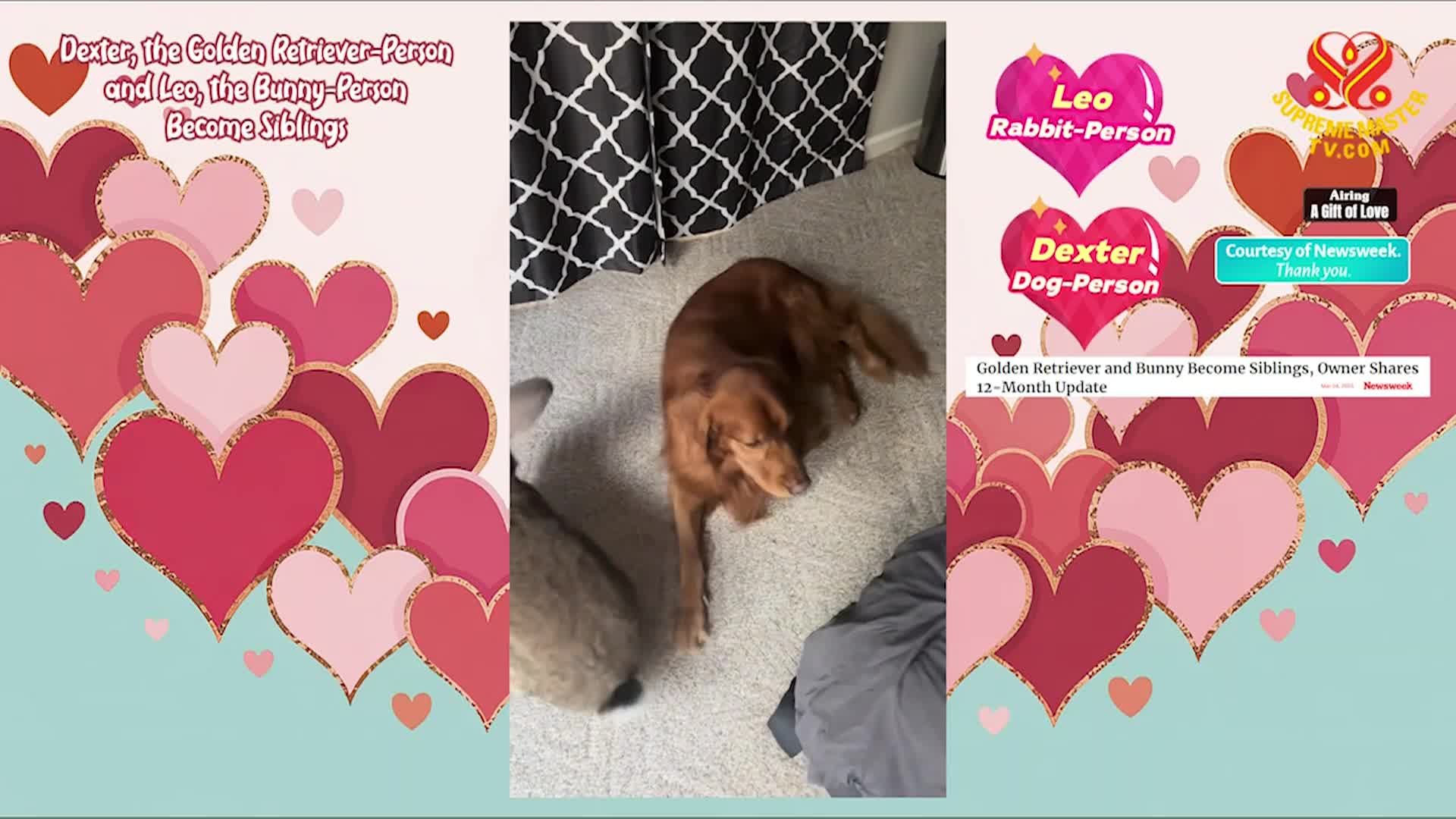 Thumbnail image for Supreme TV EP 1540 - Coconut Soup and Vegetable Sauté, Part 1 of 2