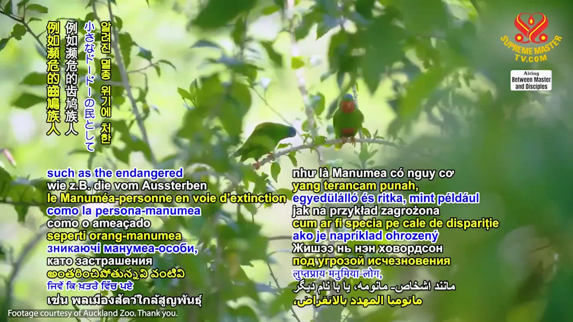 Thumbnail image for Supreme TV EP 1542 - The Method Which Improves All Ways of Life, Part 1 of 3