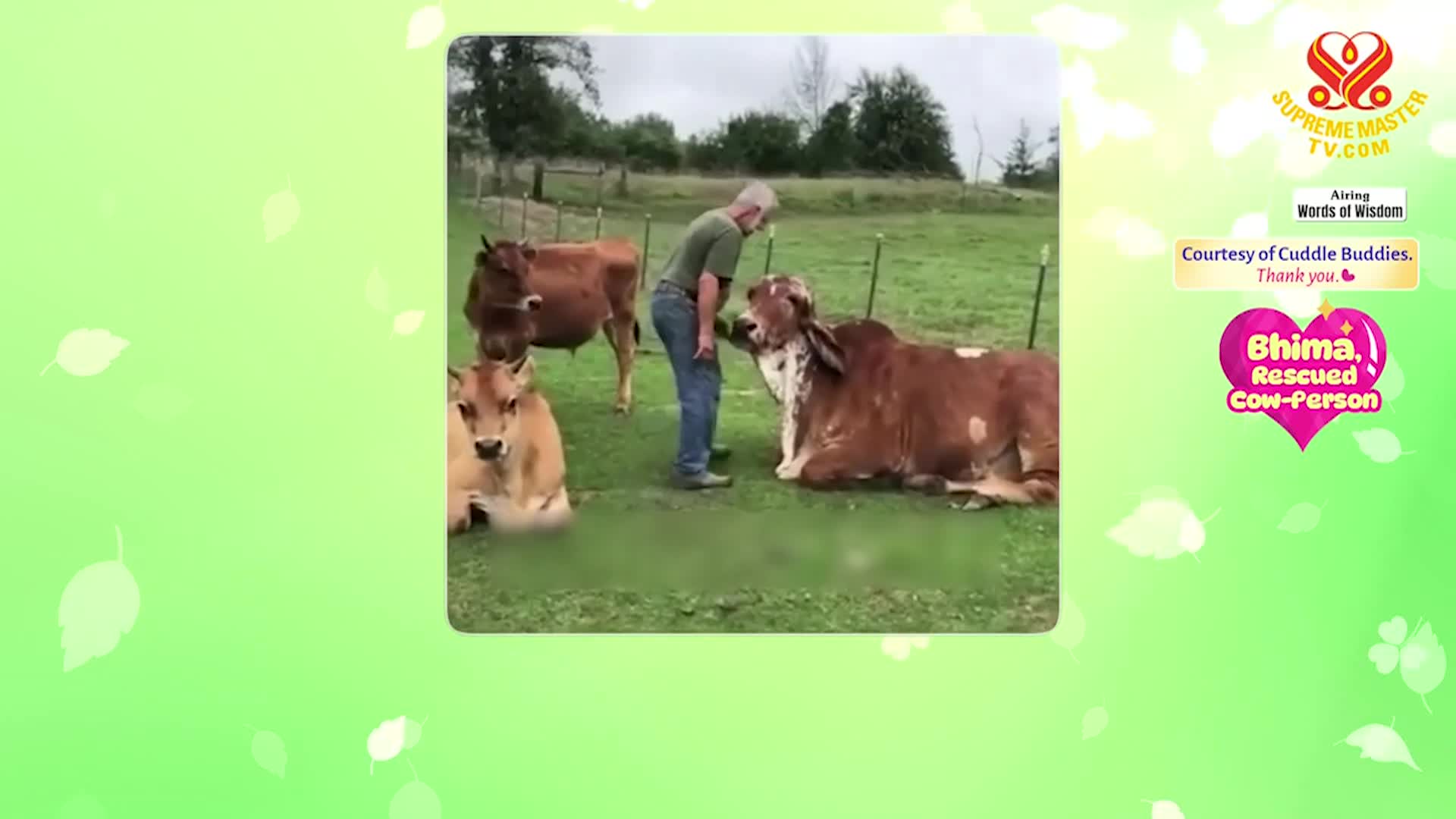 Thumbnail image for Supreme TV EP 1548 - Excerpts from the 1999 European Lecture in the Netherlands, from ‘God’s Direct Contact-The Way to Reach Peace’ by Supreme Master Ching Hai (vegan), Part 1 of 2