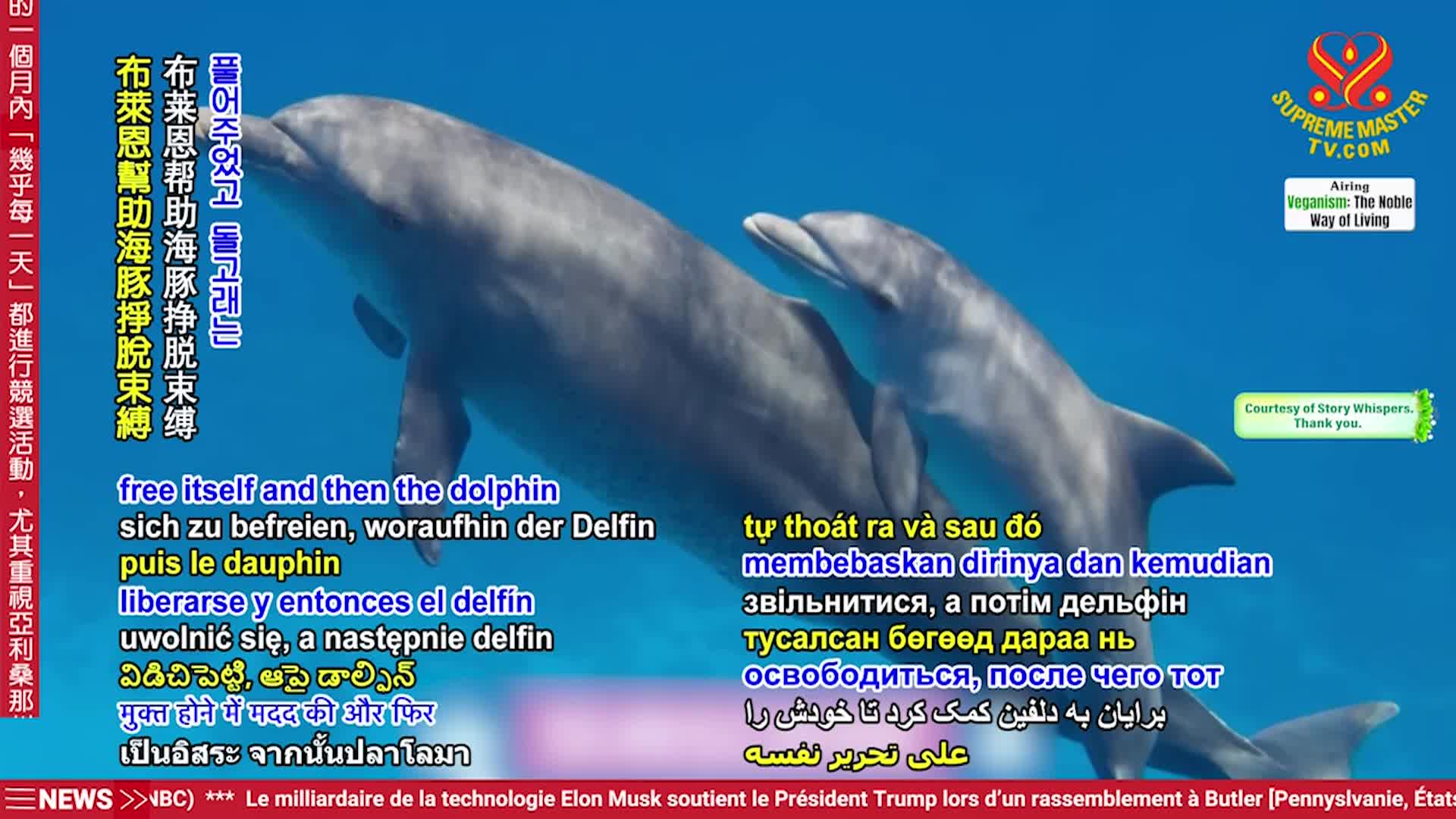 Thumbnail image for Supreme TV EP 1557 - Global Peace Through Veganism, part 1 of 2