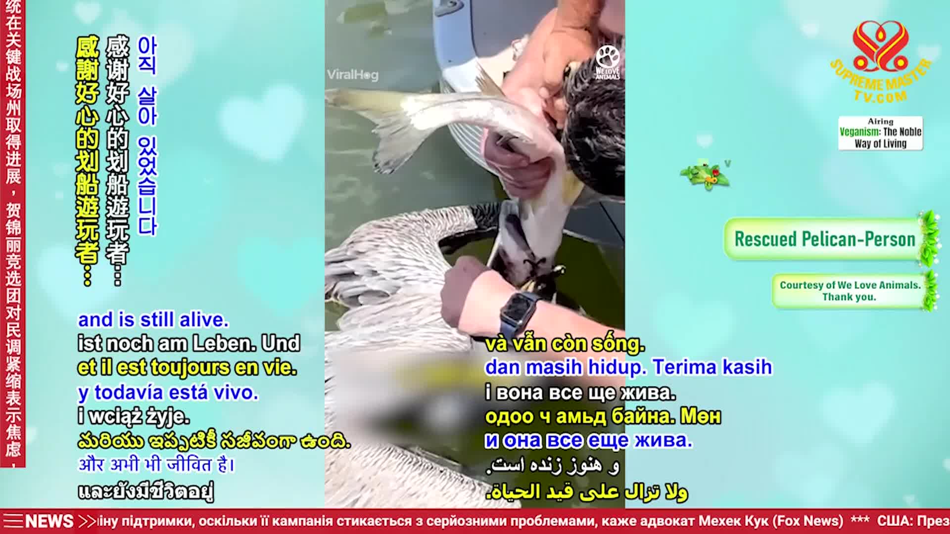 Thumbnail image for Supreme TV EP 1558 - Global Peace Through Veganism, part 2 of 2