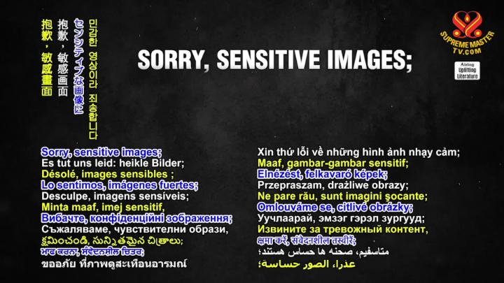 Thumbnail image for Supreme TV EP 1585 - “The Wild Horse Conspiracy,” by Craig Downer (vegan), Part 2 of 2