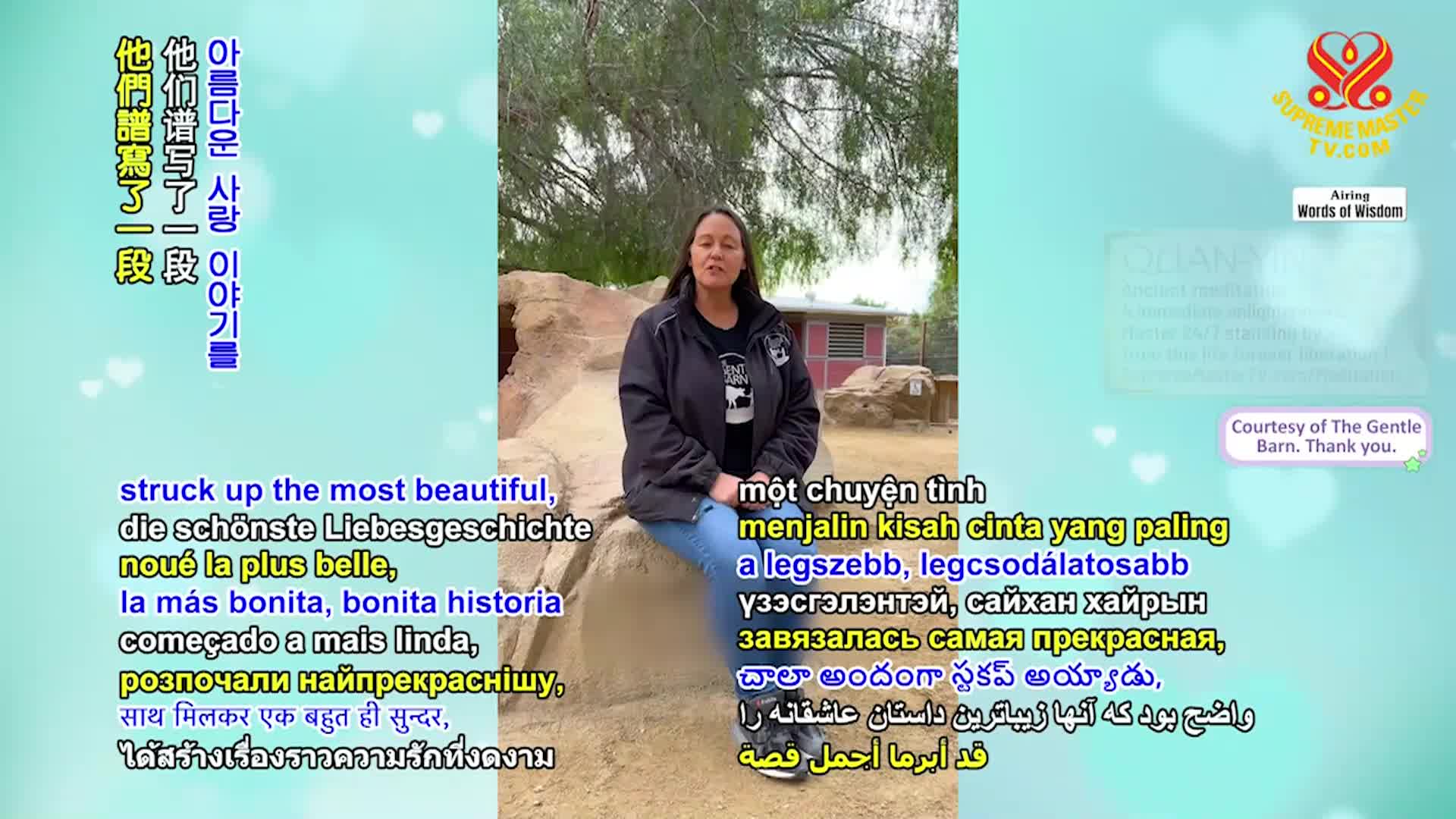 Thumbnail image for Supreme TV EP 1611 - Compassion and Care: From The Essene Humane Gospel of Christ, Part 1 of 2