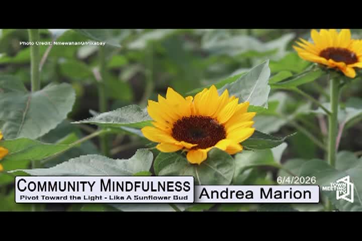 Thumbnail image for Community Mindfulness: Pivot Toward the Light - Like A Sunflower Bud