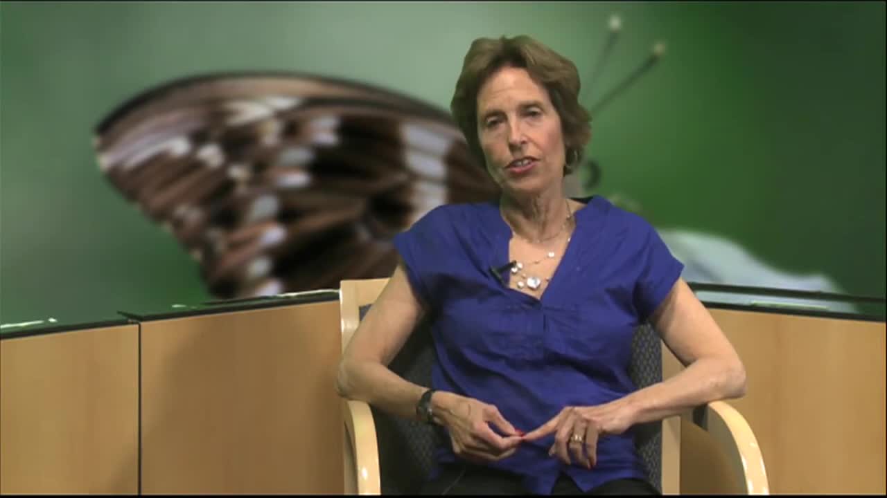 Thumbnail image for Alivelihood with Leni Webber