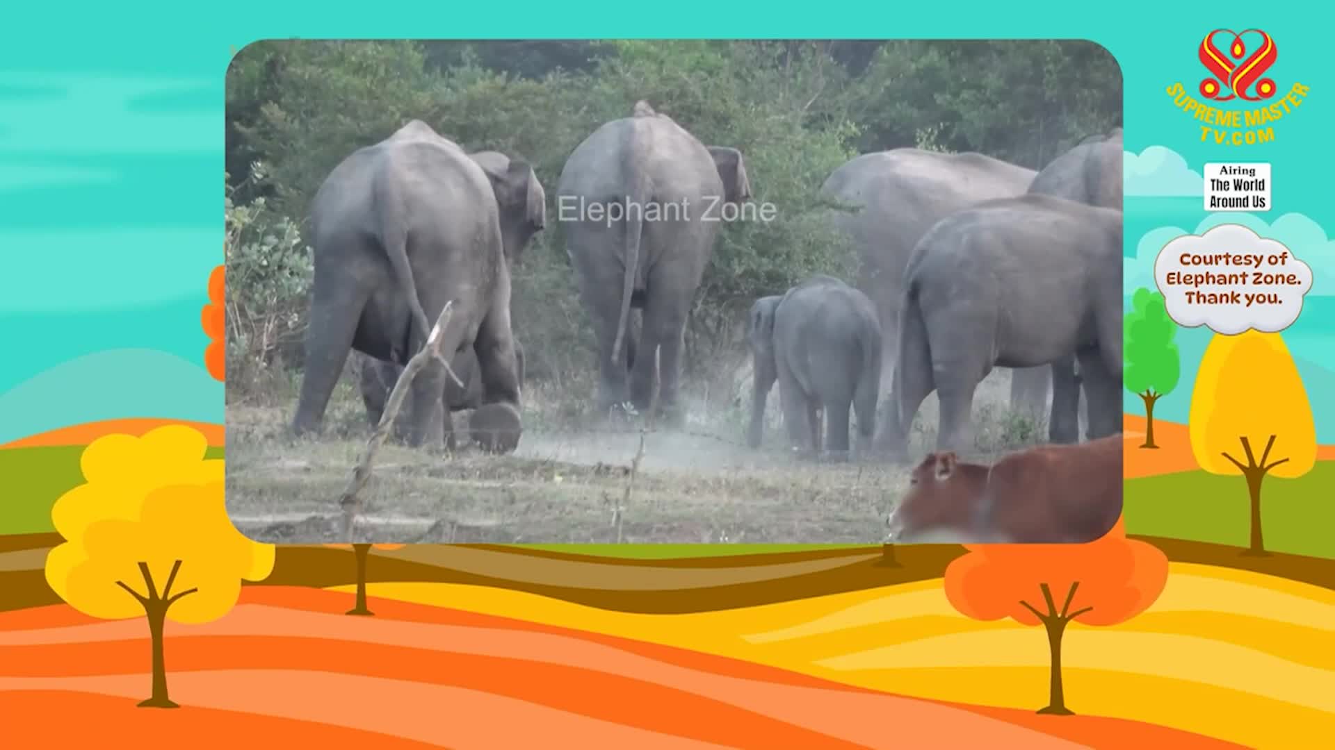 Thumbnail image for Supreme TV EP 1628 - Tree of Legends: The Story of Thimmamma Marrimanu