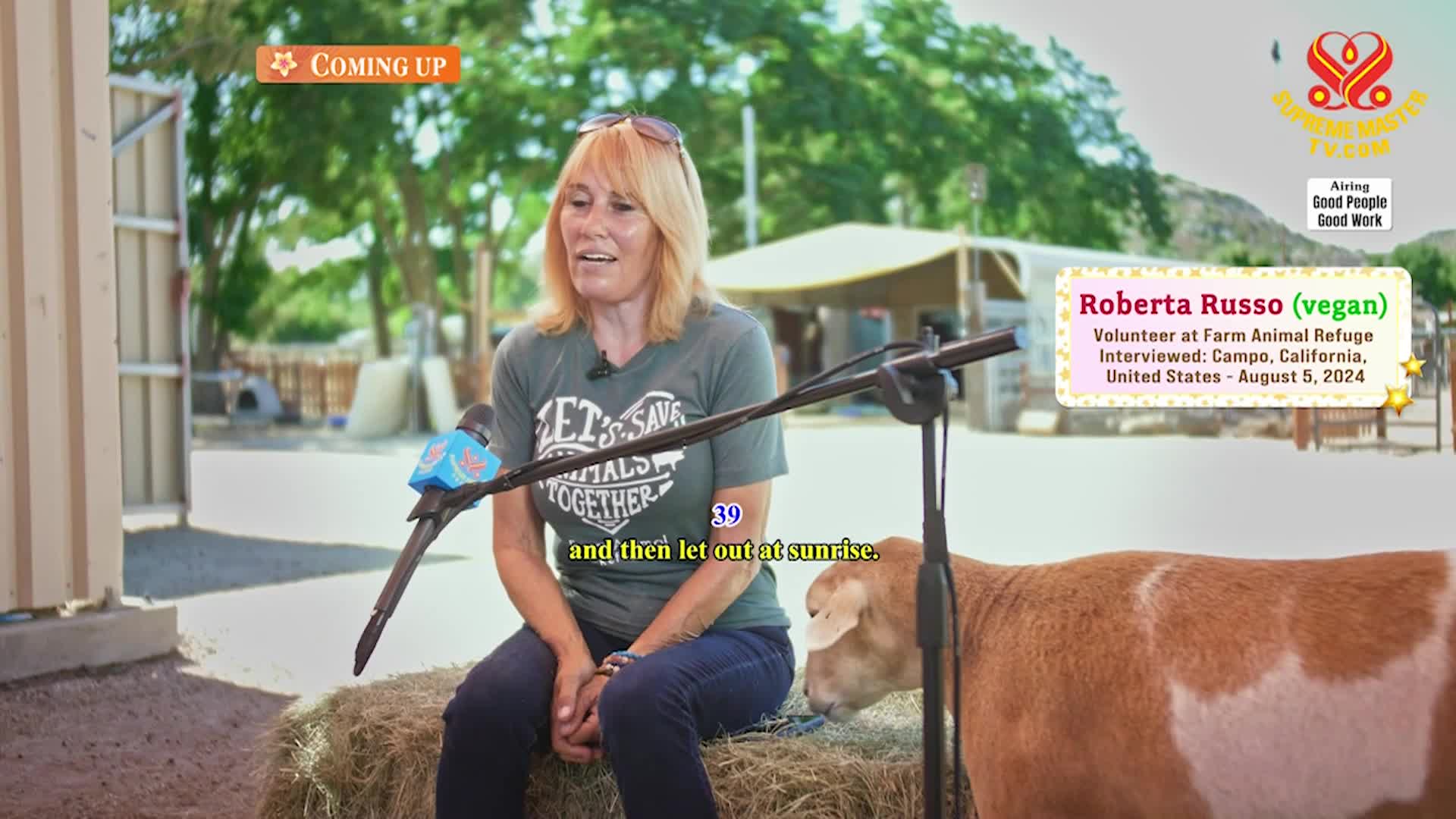 Thumbnail image for Supreme TV EP 1648 - Farm Animal Refuge and Roberta Russo (vegan): Loving “Grandma” to Rescued Animal-People, Part 1 of 2