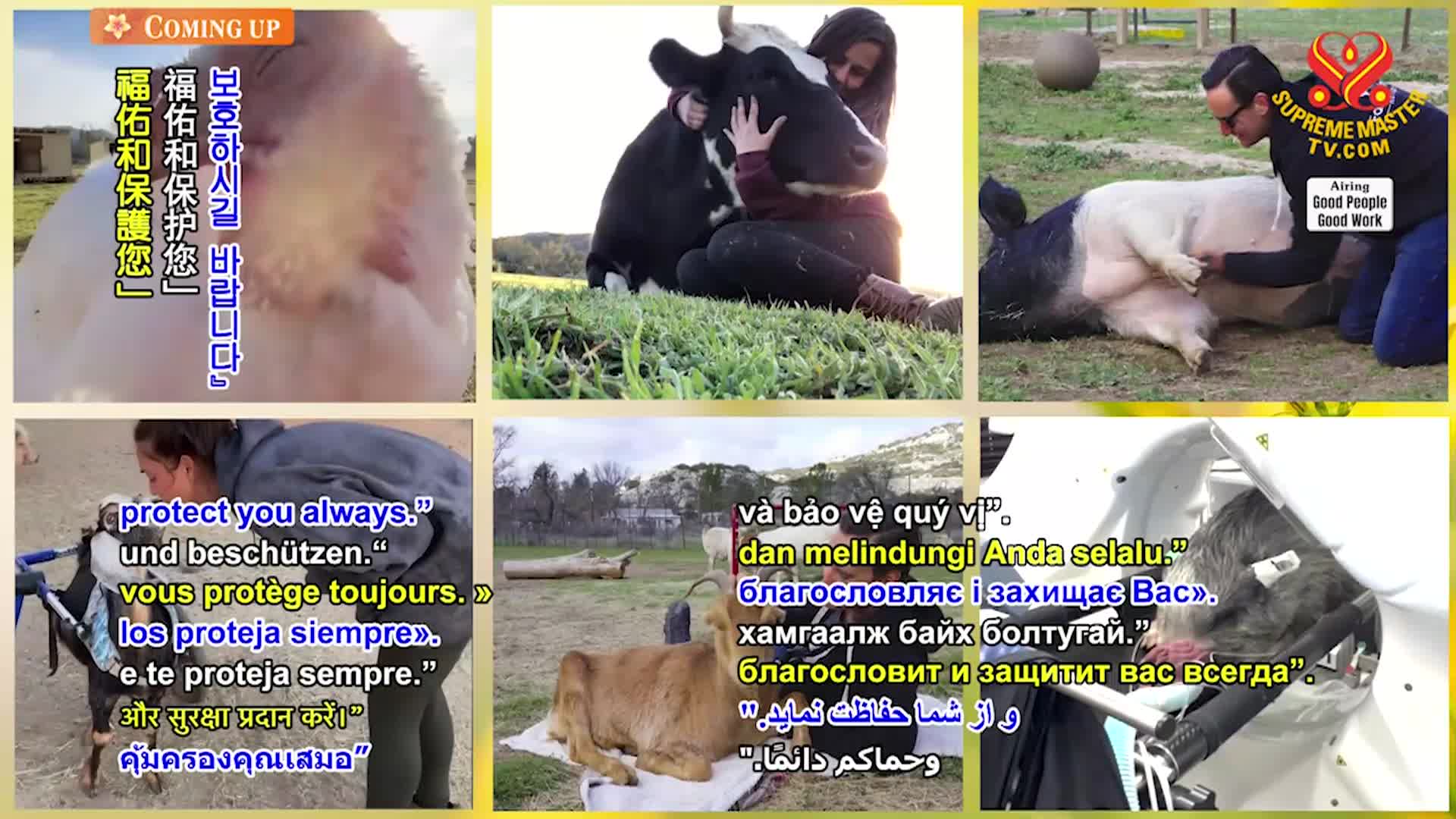 Thumbnail image for Supreme TV EP 1649 - Farm Animal Refuge and Roberta Russo (vegan): Loving “Grandma” to Rescued Animal-People, Part 2 of 2