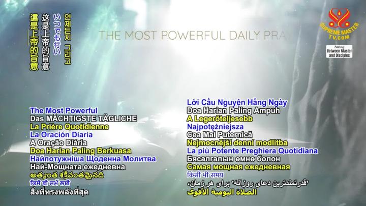 Thumbnail image for Supreme TV EP 1653 - Renounce the Desire for the World but Not the World, Part 2 of 6